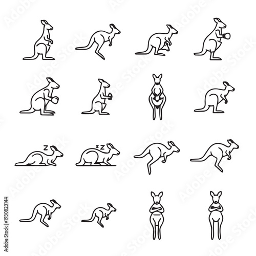 Collection of Kangaroo Line Art Icons Showing Different Poses and Actions