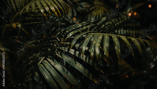 Dark Leaves Fill the Space in the Tropical Setting at Night Under Soft Light