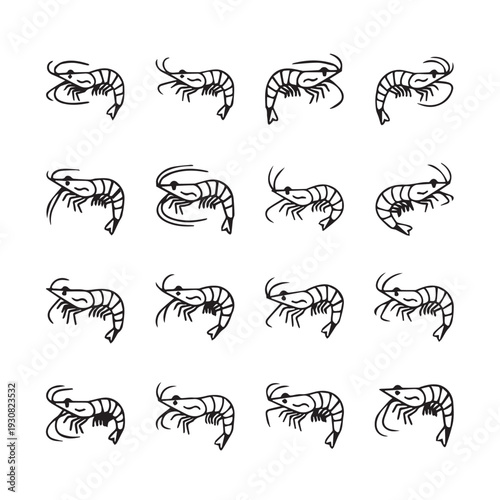 Collection of Shrimp Illustrations Seafood Theme Nautical Design Vector Art