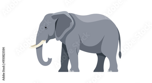 A striking flat illustration of a majestic grey elephant standing with its trunk curled and prominent tusks against a stark white background