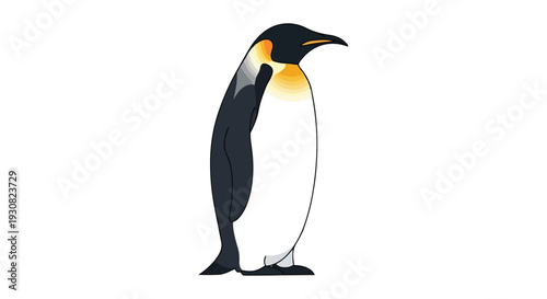 Majestic King Penguin Illustration Isolated on White Background Capturing Arctic Charm
