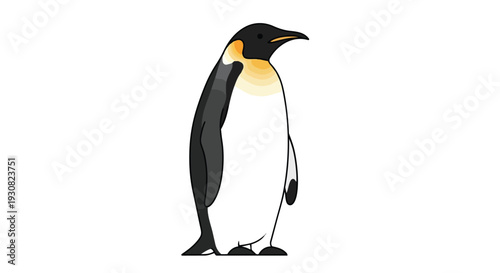 Stylized Emperor Penguin Illustration with Bold Outlines and Clear White Background Ideal for Educational and Design Projects