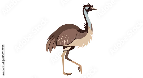 Stylized illustration of an emu bird depicted in a flat design with earth-toned feathers and striking blue neck accents