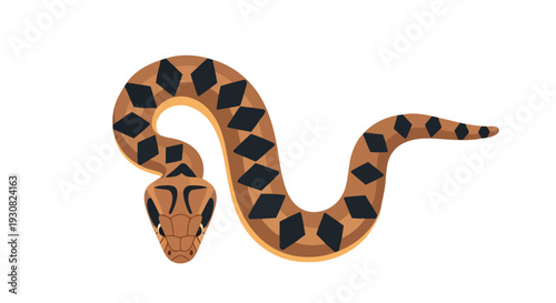 A captivating illustration of a coiled brown snake with striking black diamond patterns against a clean white backdrop