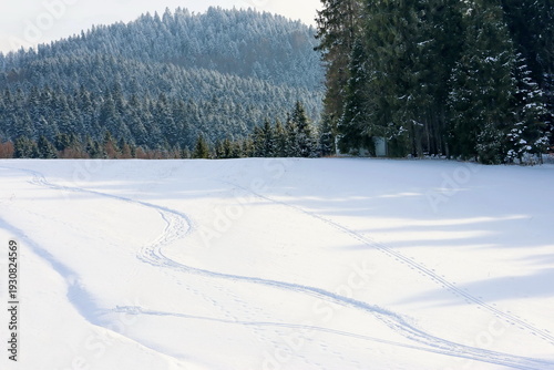 Foto Curving ski tracks cross a pristine snow-covered meadow beneath a forested mountain