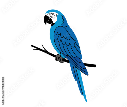 A vibrant blue parrot perched on a branch in a colorful illustration