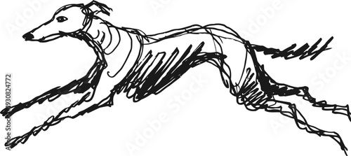 Greyhound dog running fast sketch illustration in black line art for pet and animal design