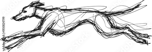 Dynamic sketch of a running greyhound dog in motion with flowing, energetic lines