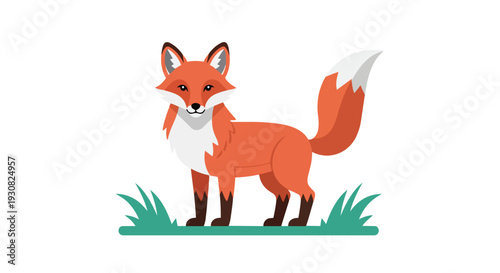 A Charming Cartoon Illustration of a Red Fox Standing Alertly in Green Grass on a White Background