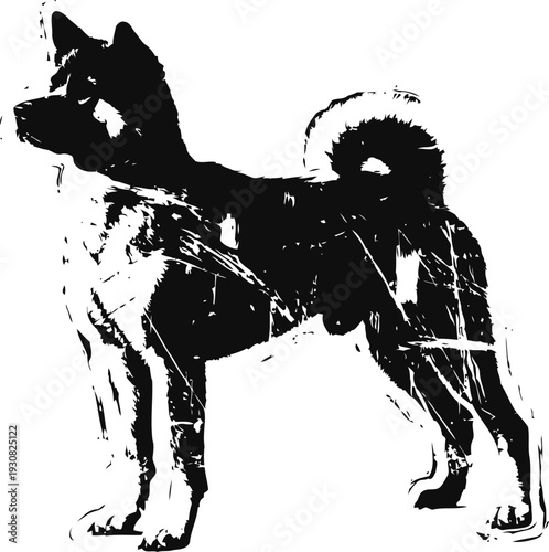 akita dog standing side view large japanese breed with curled tail and pointed ears silhouette