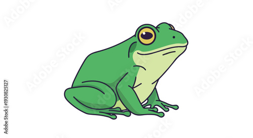 A charming cartoon illustration of a green frog with bright yellow eyes and a light green belly sitting calmly on a white background