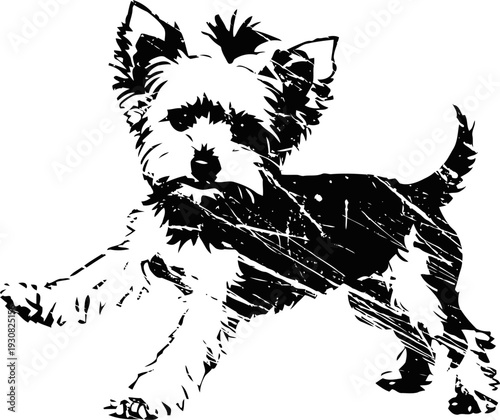 Small playful dog standing with one paw raised, black and white artistic silhouette