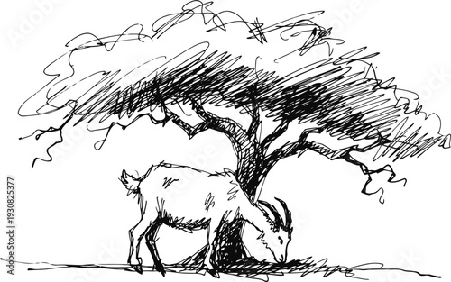 goat grazing under tree hand drawn black ink sketch of goat and large leafy tree rural farm animal nature scene