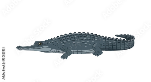 A solitary reptilian creature, a stylized crocodile rendered in a cool, muted grey, positioned in profile against a stark white backdrop