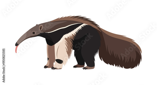 Stylized Illustration of a Giant Anteater with its Tongue Extended, Showcasing Unique Mammalian Features in a Clean Design