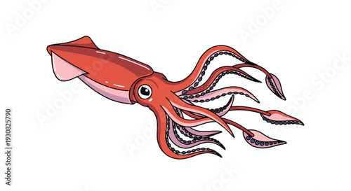 Stylized Cartoon Illustration of a Bright Red Squid with Tentacles Extending Outwards Against a Pure White Background