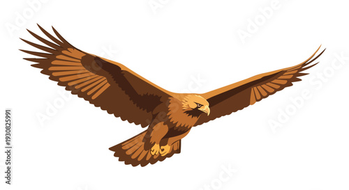 Majestic Golden Eagle Soaring with Wings Extended, Emblematic of Freedom and Power