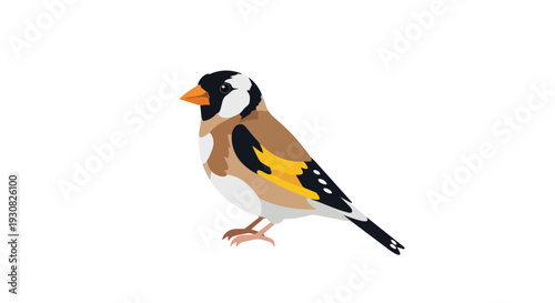 Elegant European Goldfinch illustration on a clean white background vibrant plumage detailed depiction