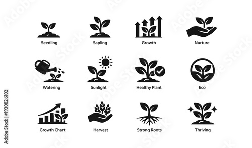 Set of plant growth icons: seedling, sapling, growth, nurture, eco-friendly symbols