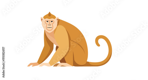 Stylized Illustration of a Sitting Monkey with a Curled Tail and a Neutral Expression
