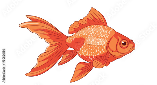 Vibrant Orange Goldfish Illustration With Flowing Fins Isolated on a Clean White Background