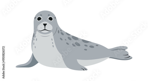 Adorable illustrated seal with playful spots resting peacefully on a pure white backdrop, showcasing its charming aquatic mammal features with