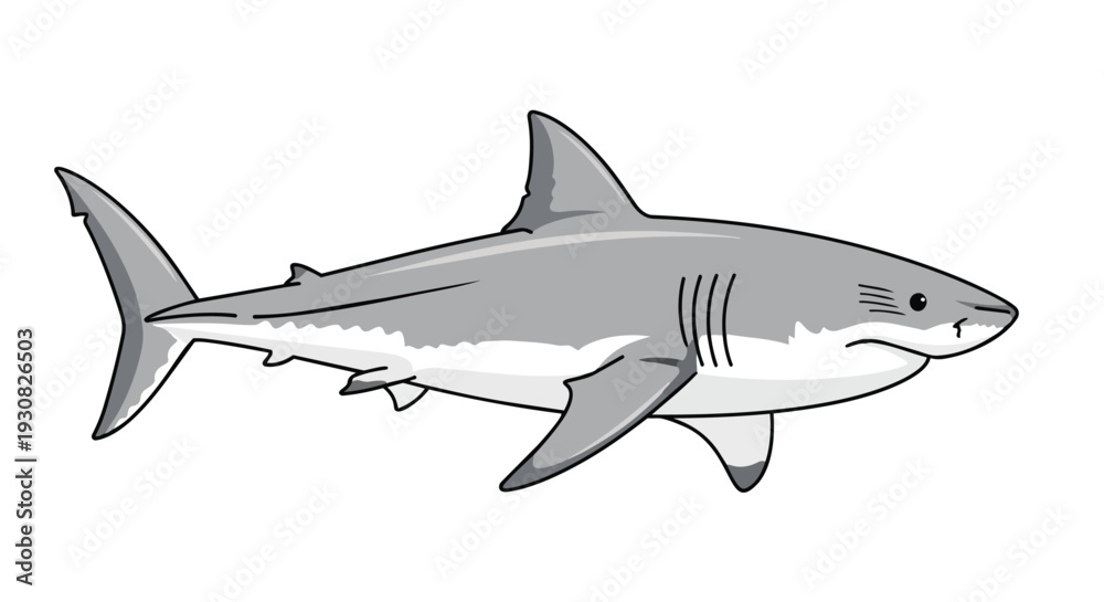 Obraz premium Stylized Illustration of a Great White Shark in Profile with Dynamic Fins and Gill Slits