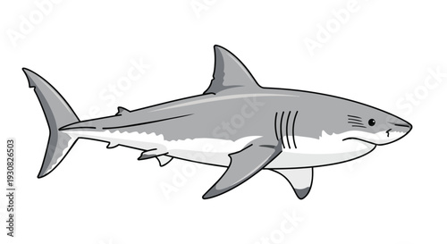 Stylized Illustration of a Great White Shark in Profile with Dynamic Fins and Gill Slits