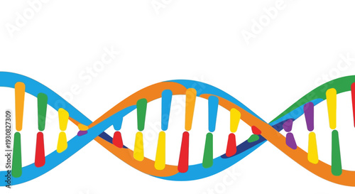 A vibrant, colorful illustration of a DNA double helix structure with distinct segments in various hues.