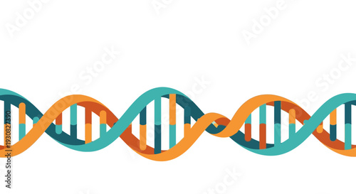A stylized illustration of a DNA double helix structure with alternating teal and orange strands against a white background.