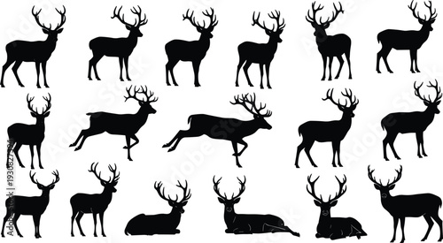 Deer silhouettes collection, stag and buck wildlife animals in standing running and resting poses, forest nature illustration, black vector set