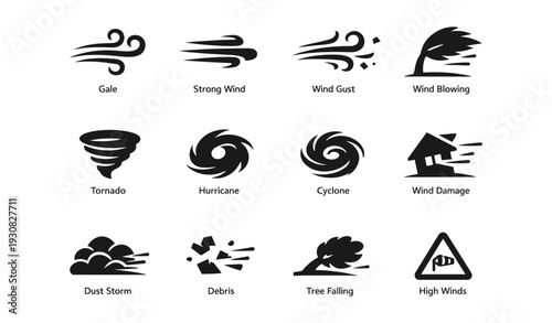 Weather icons illustrating wind and storm elements