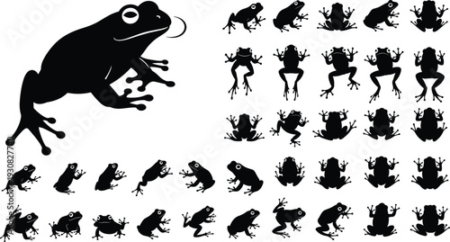 Frog silhouettes collection, jumping and sitting frogs in multiple poses, wildlife amphibian icons, nature animal set, black vector illustration
