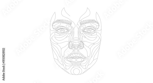 Facial Structure Anatomy Line Drawing.