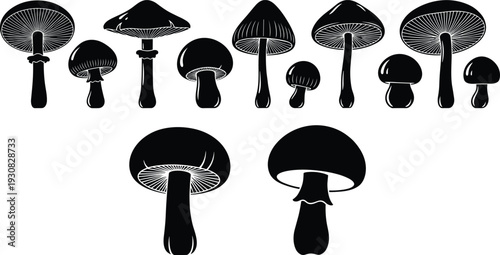Mushroom silhouettes collection, various fungi shapes and caps, forest plants and edible mushrooms, botanical nature icons, black vector illustration