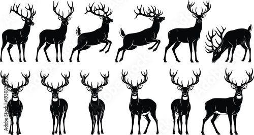 Deer silhouette illustration set, male bucks with antlers in standing, walking, running and grazing poses, wildlife and nature theme - flat vector illustration