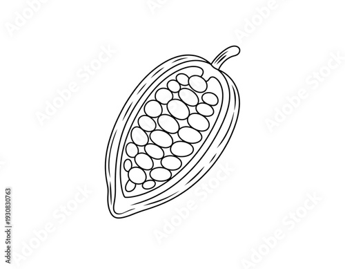 Intricate design of a patterned hazelnut shell with detailed surface texture isolated on transparent background