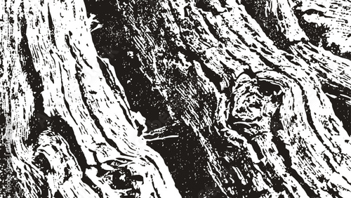 Detailed close up view of textured tree bark with natural cracks and grooves