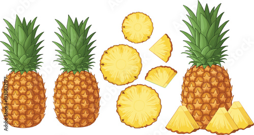 Fresh pineapple whole and sliced tropical fruit collection with juicy pieces summer food vector illustration set