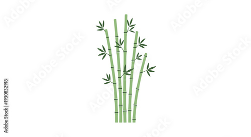 Bamboo Plant Illustration Green Stems Leaves.