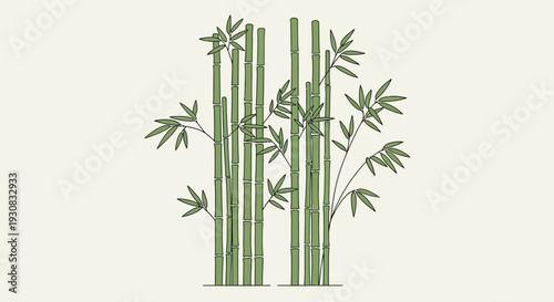 Bamboo Stems with Leaves Illustration.