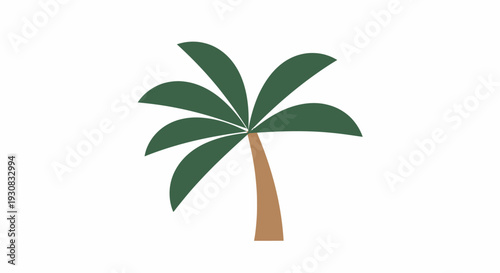 Palm Tree with Green Leaves and Trunk.