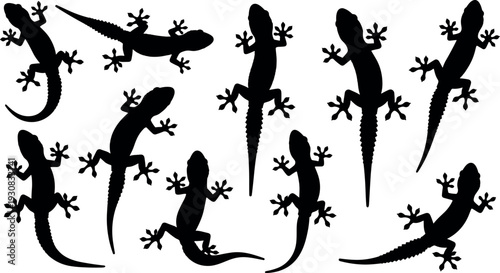 Black Gecko Silhouette Vector Set, Featuring Lizard Poses, Reptile Shapes, Tropical Animal Icons, Isolated Crawling Creatures,