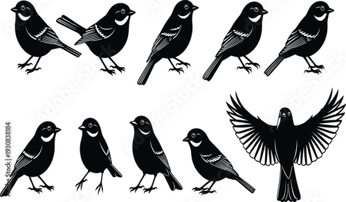 Nine Silhouette Bird in Illustration: An artistic collection of nine bird illustrations, featuring variations in poses and wing displays, is presented.