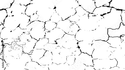 Cracked Texture: Cracked white wall texture. Surface cracks and fissures in ground. Dry Terrain with Cracked Concrete White Wall Texture, Vintage Old Wall Background with Black and White Scribble .