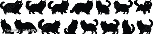 Fluffy cat silhouettes set, long hair domestic cats isolated on white background vector illustration collection