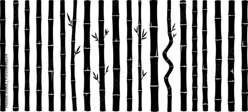 Set of black bamboo silhouettes featuring various stalks stems and branches for Asian nature oriental zen and tropical forest designs,