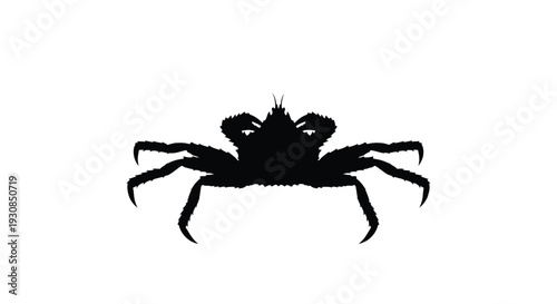 A striking black silhouette of a crab against a white background