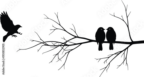 Birds on Tree Branch Silhouette Flying Crow and Perched Birds Wildlife Nature Scene Isolated Vector Illustration Design