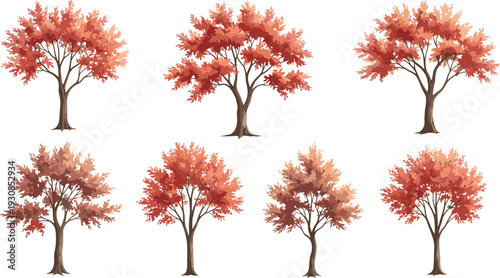 Autumn watercolor tree collection vector botanical elements for landscape architecture isolated on white